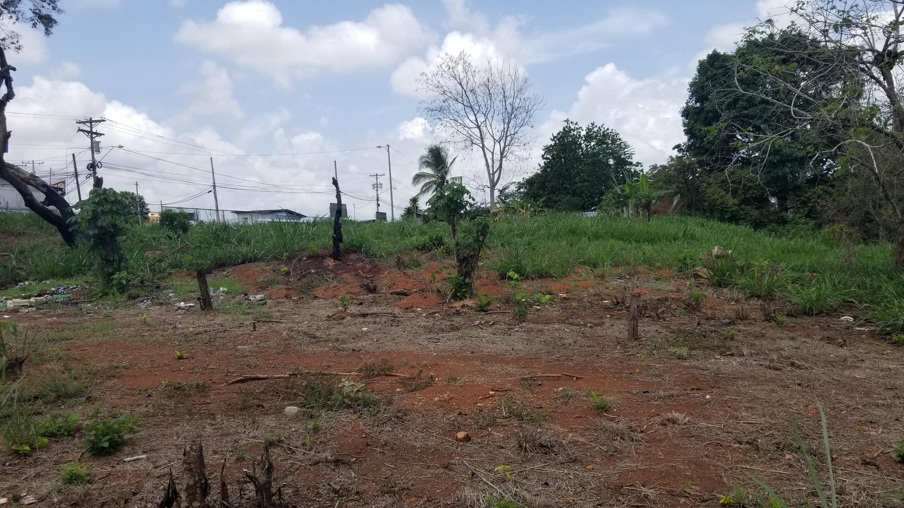 Commercial Property for Sale in La Chorrera Panamá Province